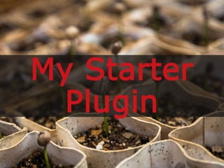 My Starter
Plugin
 
