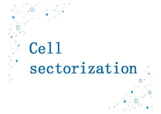 Wc the cellular concept  system design fundamentals