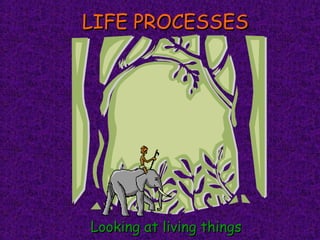 LIFE PROCESSESLIFE PROCESSES
Looking at living thingsLooking at living things
 