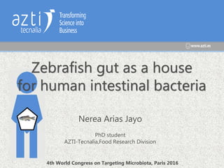 Zebrafish gut as a house
for human intestinal bacteria
Nerea Arias Jayo
PhD student
AZTI-Tecnalia,Food Research Division
4th World Congress on Targeting Microbiota, Paris 2016
 