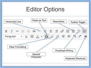 Editor Options
Paste as Text
Clear Formatting
Special
Character
Toolbar ToggleHorizontal Line Read More
Keyboard Shortcuts
Proofread Writing
 