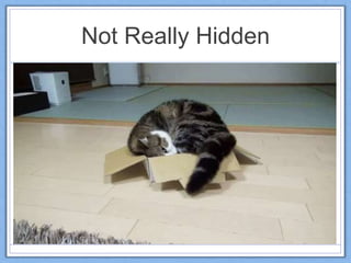 Not Really Hidden
 