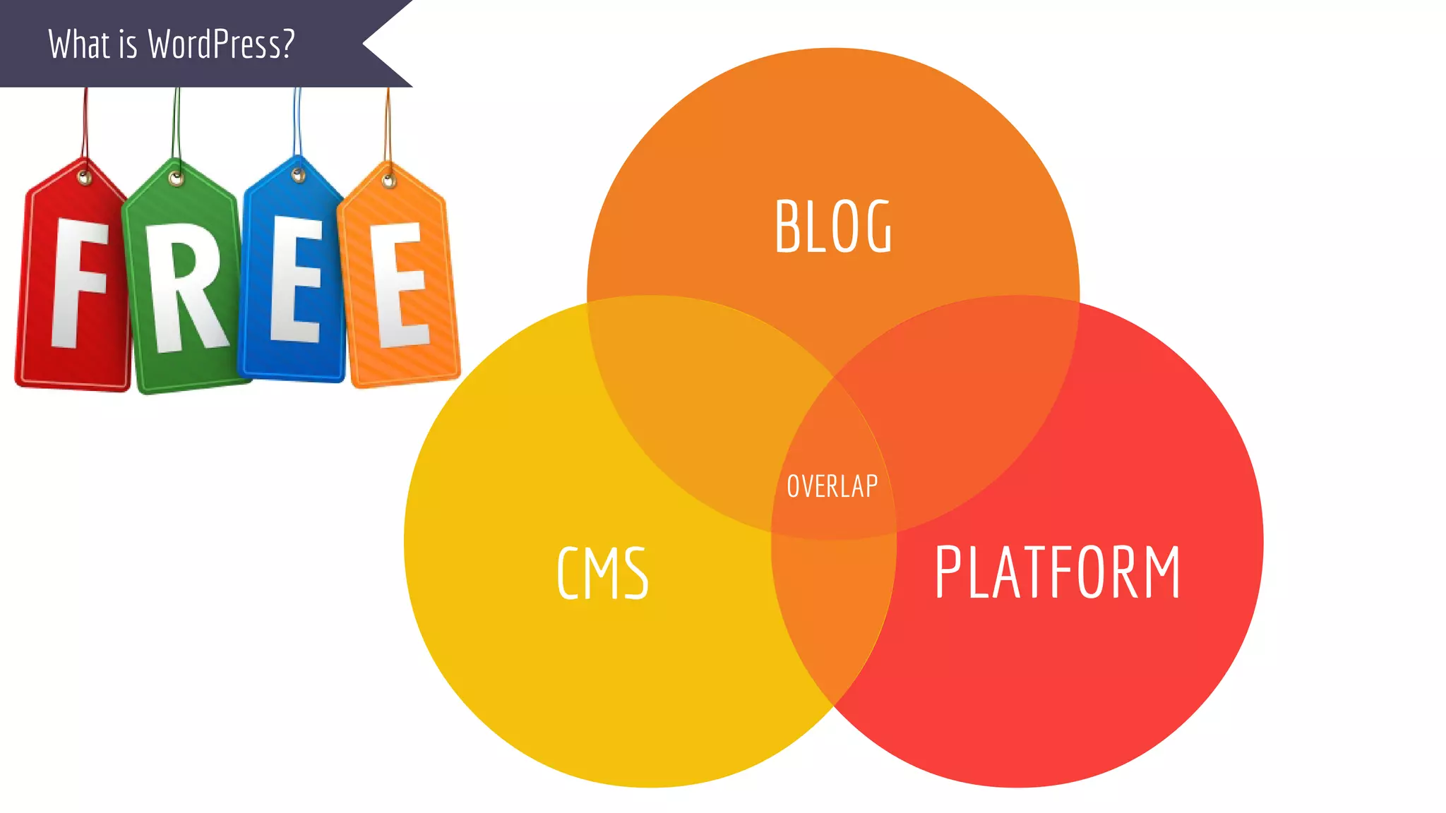 What is WordPress?
BLOG
PLATFORMCMS
OVERLAP