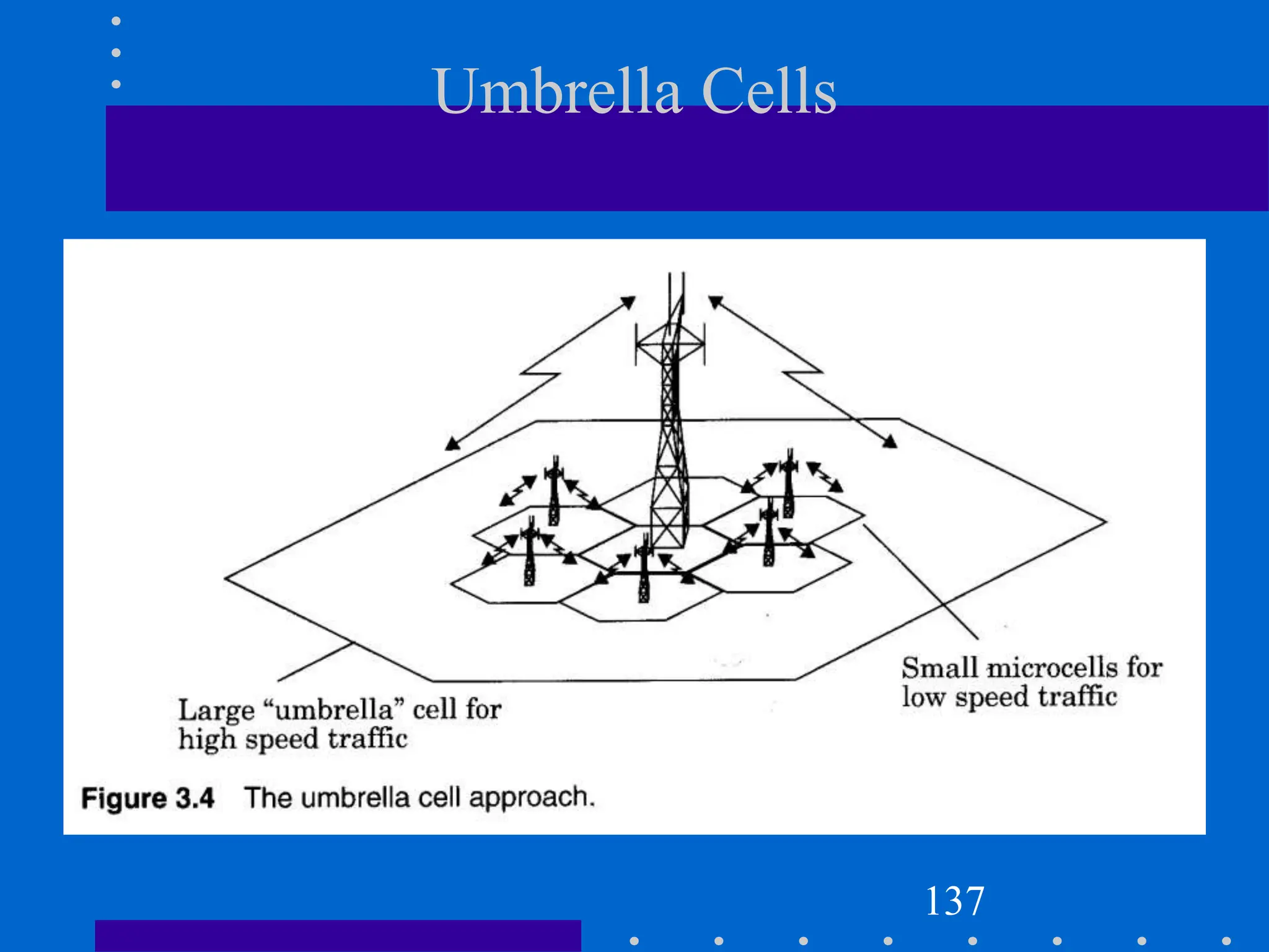 Umbrella Cells
137
 