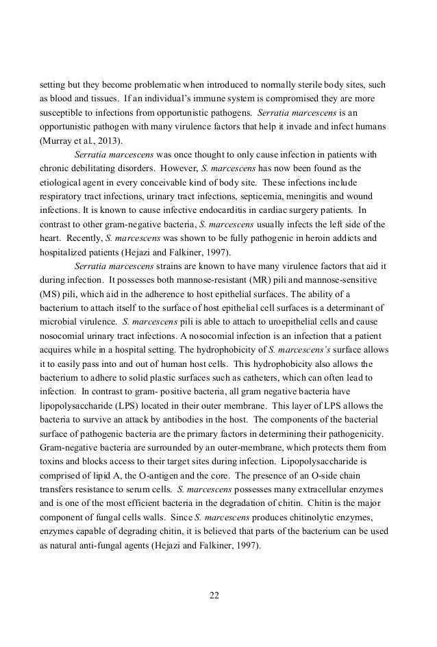 essay on global environmental issues long