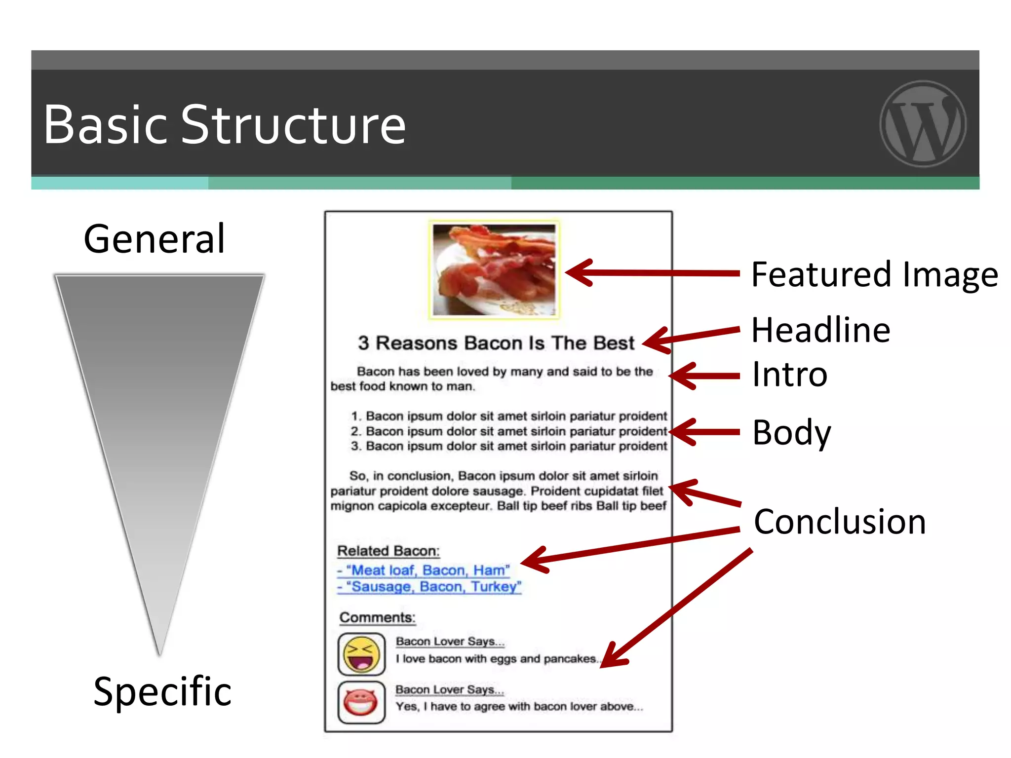 Basic Structure
 General
                  Featured Image
                  Headline
                  Intro
                  Body

                  Conclusion



  Specific
 