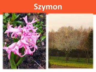 Szymon
 