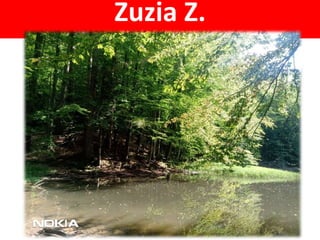 Zuzia Z.
 