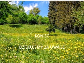 KONIEC
DZIĘKUJEMY ZA UWAGĘ
 