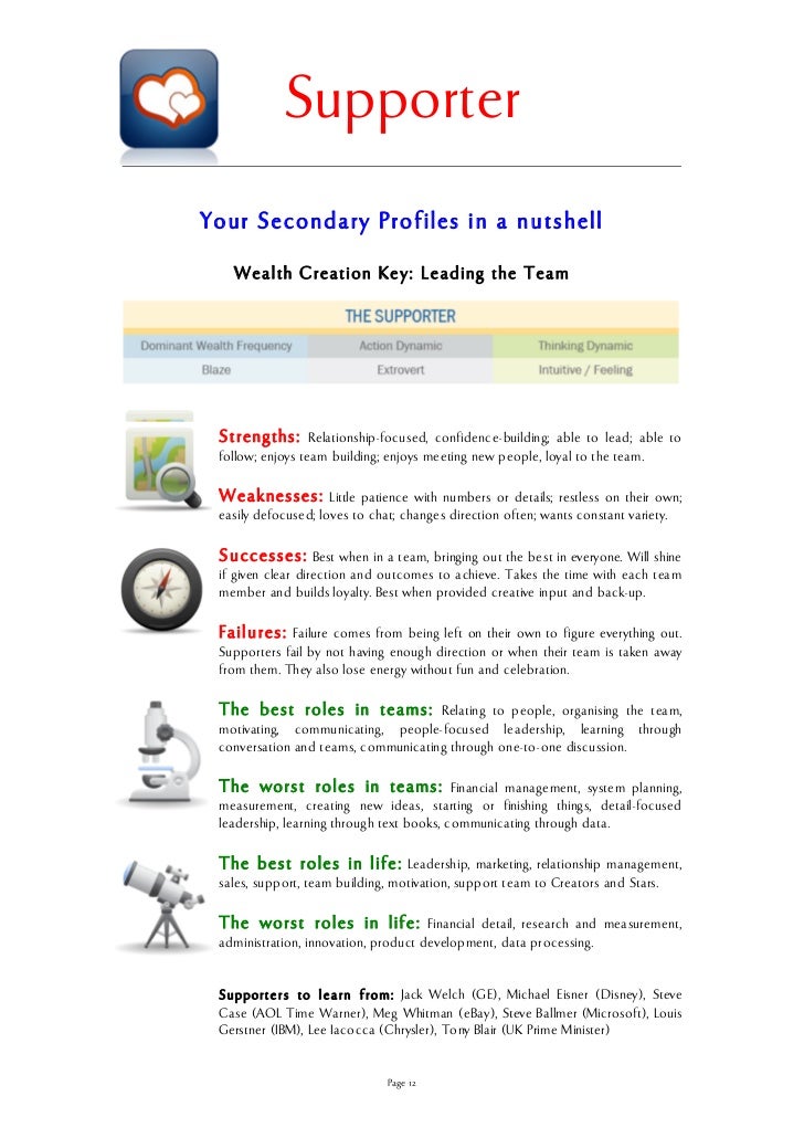 Sample Wealth Dynamics Report - What Entrepreneur Profile 