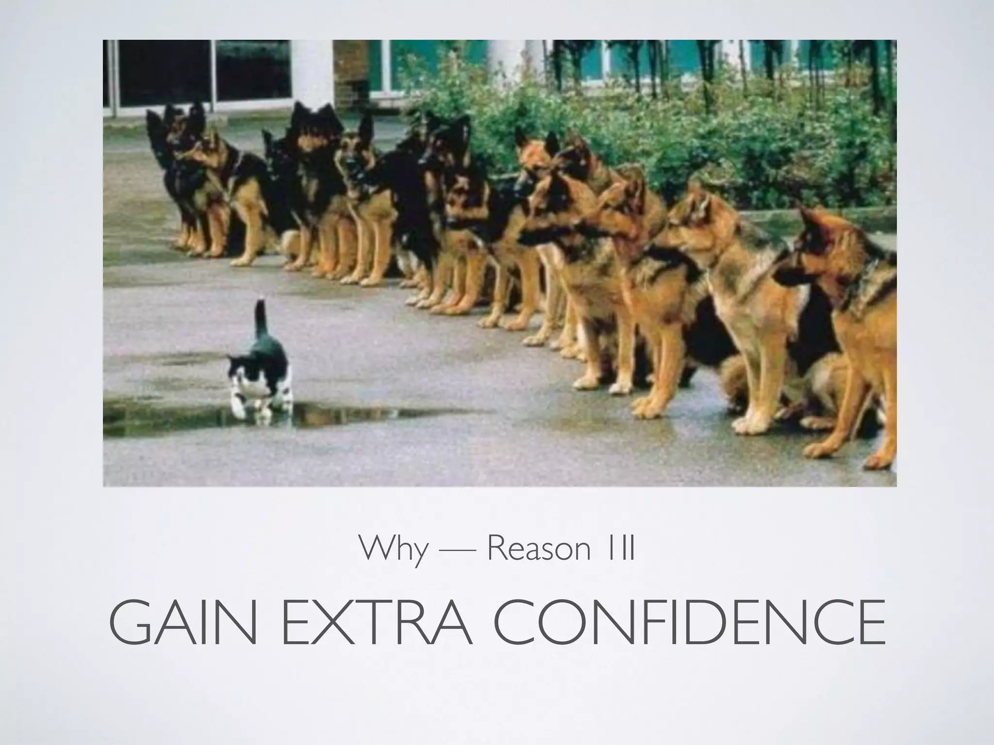 GAIN EXTRA CONFIDENCE Why — Reason 1II 
