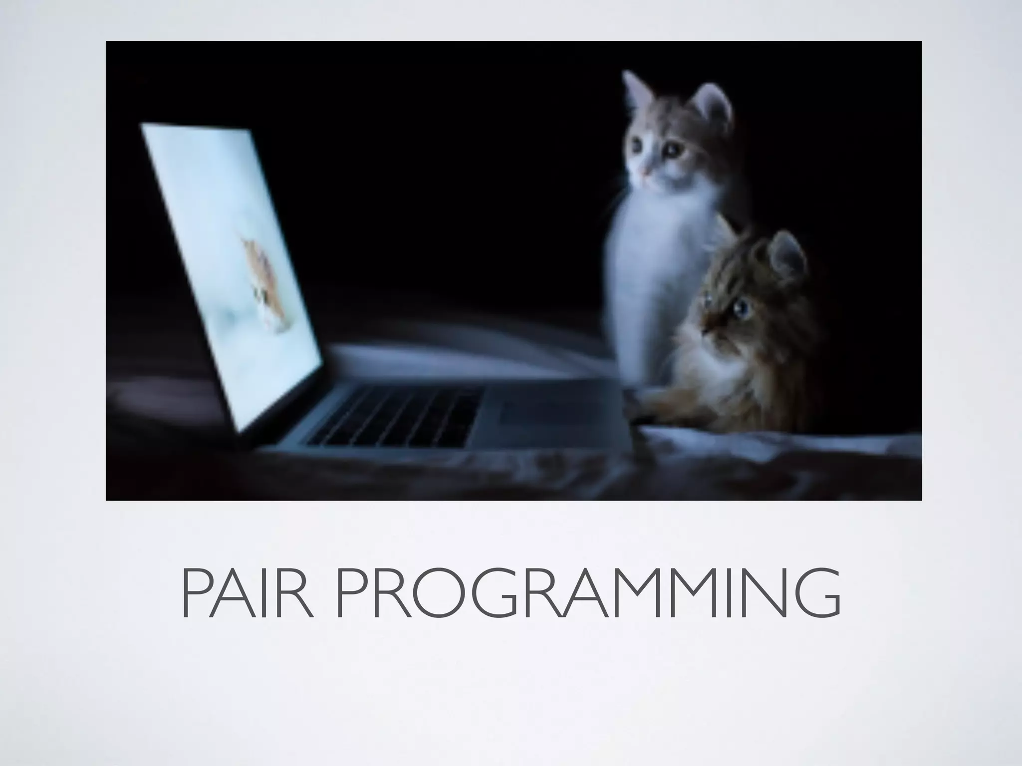 PAIR PROGRAMMING 