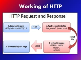 An Introduction To World Wide Web | PPTX
