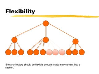 Flexibility
Site architecture should be flexible enough to add new content into a
section.
 