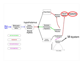 B - Dull Shifting Y - Highly Labile
Blue
light
M-system
headacheheadacheheadacheheadache
hypothalamus
Diurnal
rhythms
 