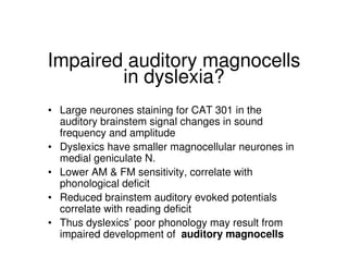 Impaired auditory magnocells
in dyslexia?
• Large neurones staining for CAT 301 in the
auditory brainstem signal changes in sound
frequency and amplitude
• Dyslexics have smaller magnocellular neurones in
medial geniculate N.
• Lower AM & FM sensitivity, correlate with
phonological deficit
• Reduced brainstem auditory evoked potentials
correlate with reading deficit
• Thus dyslexics’ poor phonology may result from
impaired development of auditory magnocells
 