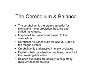 The Cerebellum & Balance
• The cerebellum is the brain’s autopilot for
timing and motor prediction, balance and
skilled movements
• Magnocellular systems all project to the
cerebellum
• Cerebellar neurones stain for CAT 301, part of
the magno system
• Cerebellum is underactive in many dyslexics
• Explains their coordination problems, but not all
their reading difficulties
• Balance exercises are unlikely to help many
dyslexics to learn to read
 
