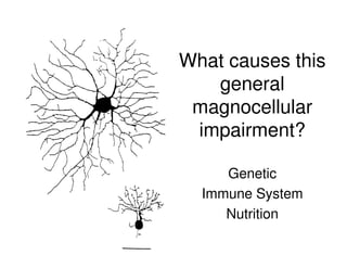 What causes this
general
magnocellular
impairment?
Genetic
Immune System
Nutrition
 