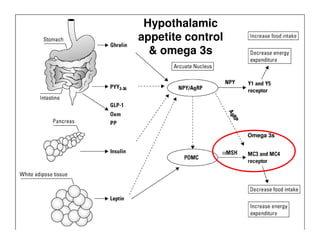 Omega 3s
Hypothalamic
appetite control
& omega 3s
 