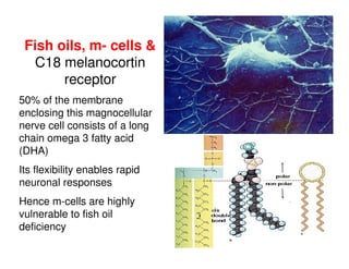 Fish oils, m- cells &
C18 melanocortin
receptor
50% of the membrane
enclosing this magnocellular
nerve cell consists of a long
chain omega 3 fatty acid
(DHA)
Its flexibility enables rapid
neuronal responses
Hence m-cells are highly
vulnerable to fish oil
deficiency
 