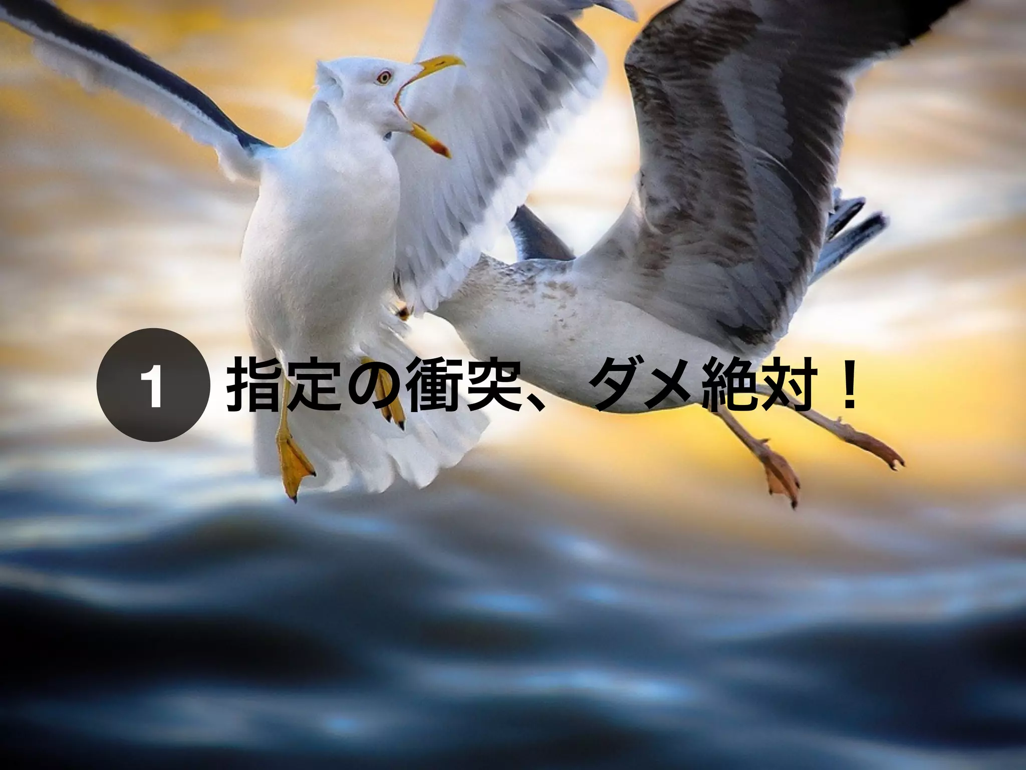 指定の衝突、ダメ絶対！1
 