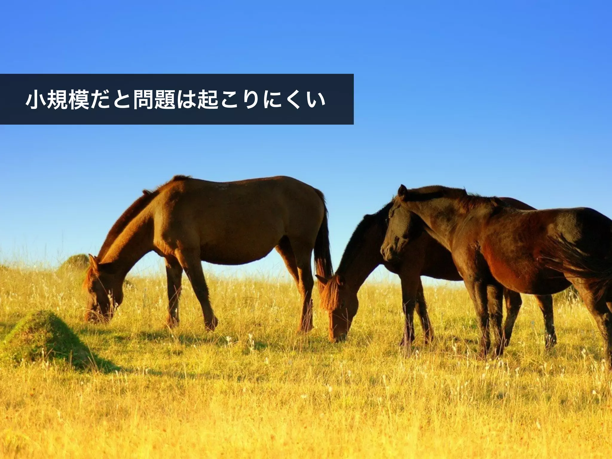 小規模だと問題は起こりにくい
 