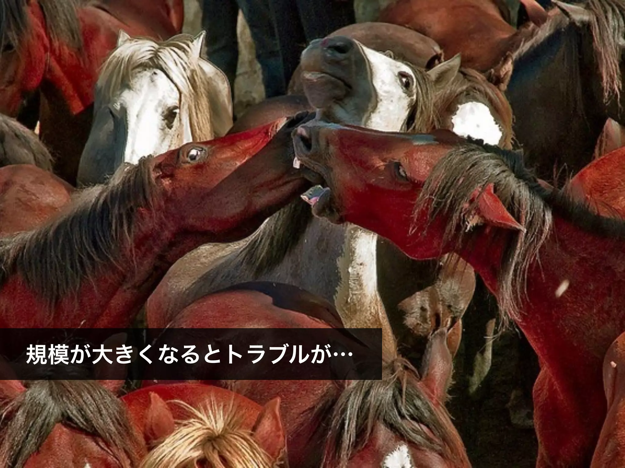 規模が大きくなるとトラブルが…
 