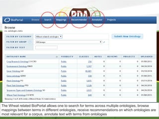 The Wheat related BioPortal allows one to search for terms across multiple ontologies, browse
mappings between terms in different ontologies, receive recommendations on which ontologies are
most relevant for a corpus, annotate text with terms from ontologies
 