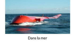 Dans la mer
 