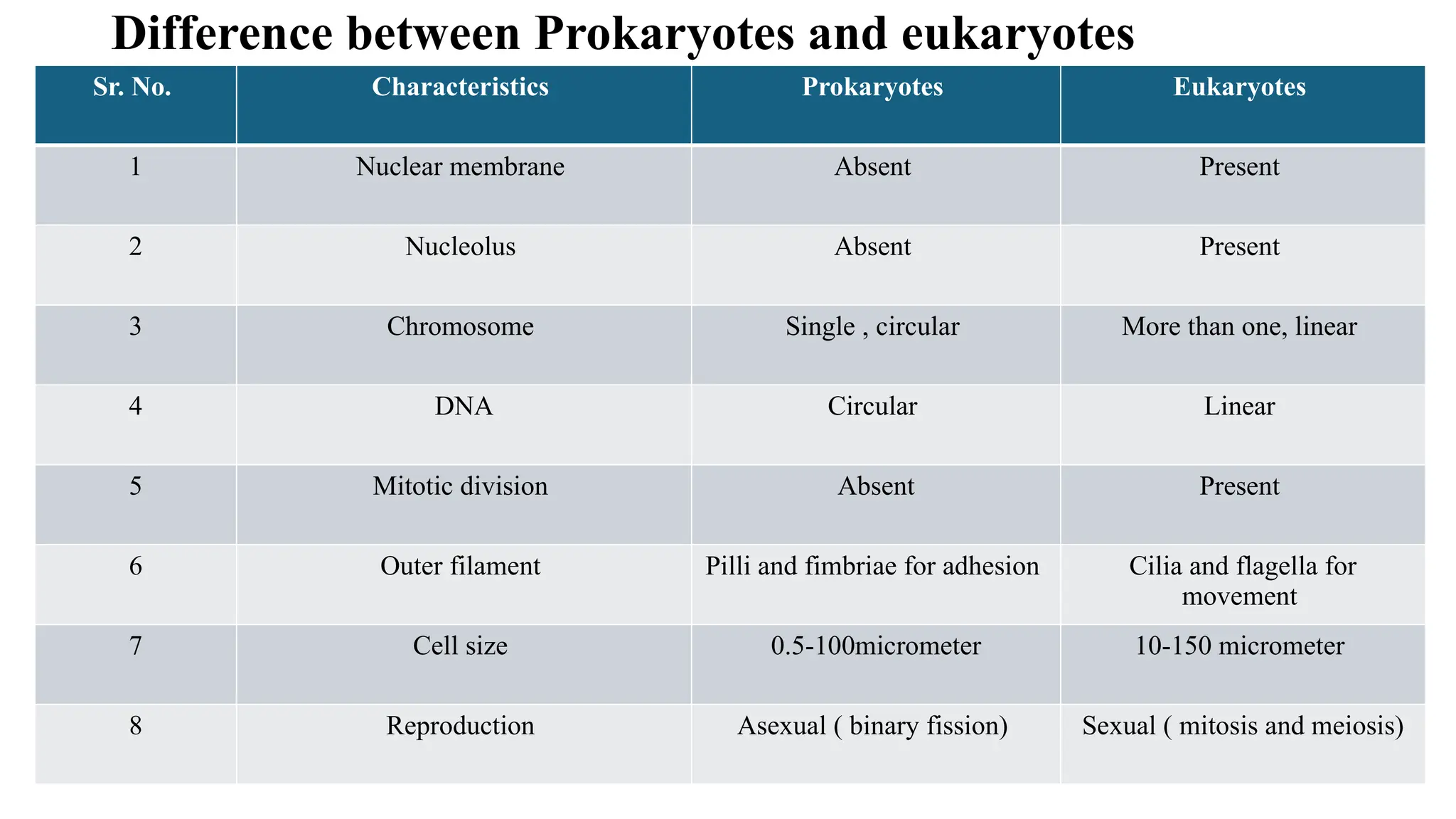 Prokaryotes and eukaryotes Presentation_MICROBIOLOGY_2.pptx