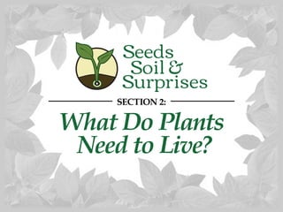 What Do Plants
Need to Live?
SECTION 2:
 