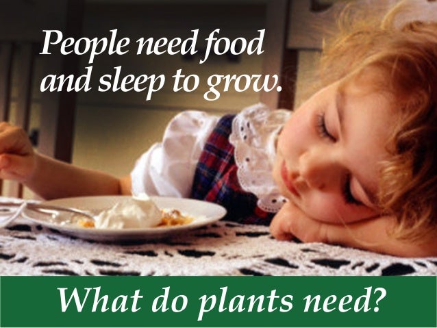 What Do Plants Need To Survive - We did not find results for: