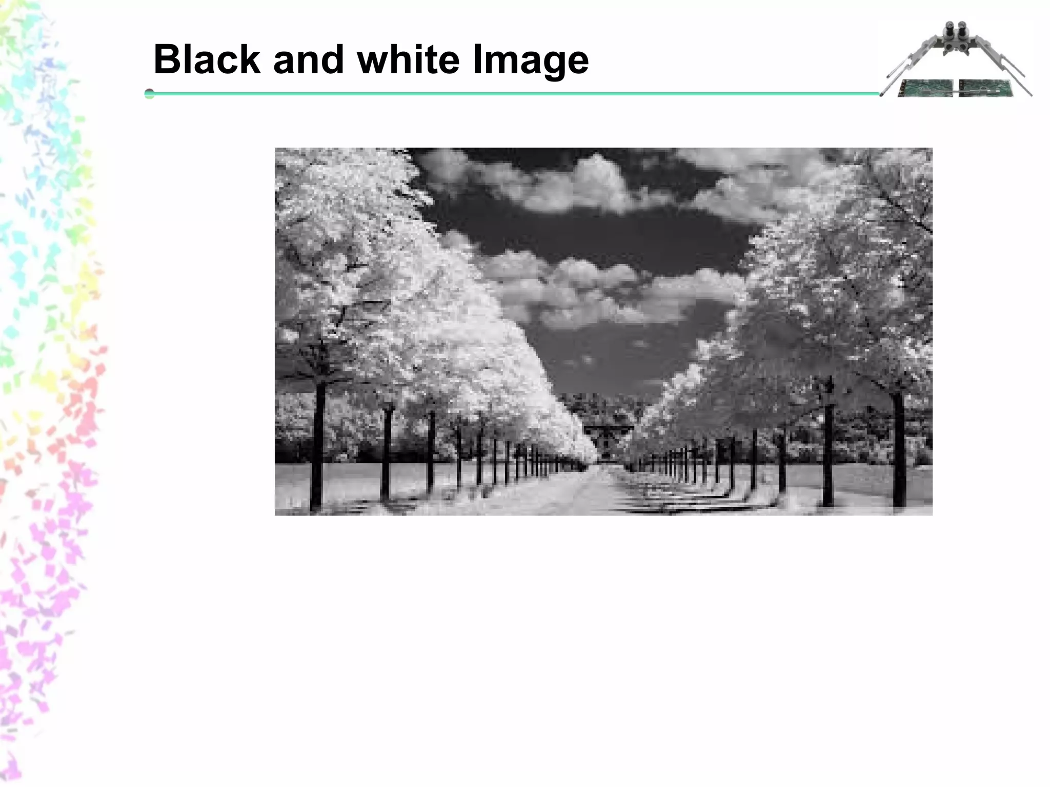 Black and white Image 
 