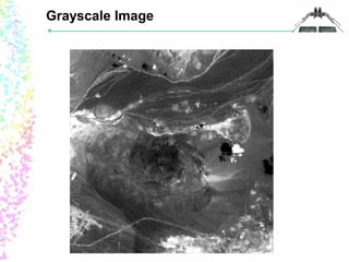 Grayscale Image 
 