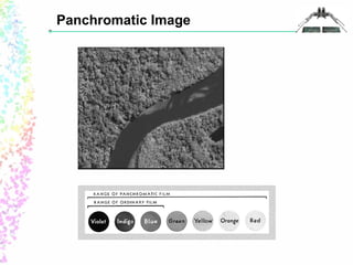 Panchromatic Image 
 