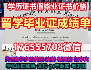 Kcl Photo Id Example KCL毕业证 | PDF