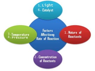 Pressure
Light
1.
2.
3.
4.
5.
6.
 