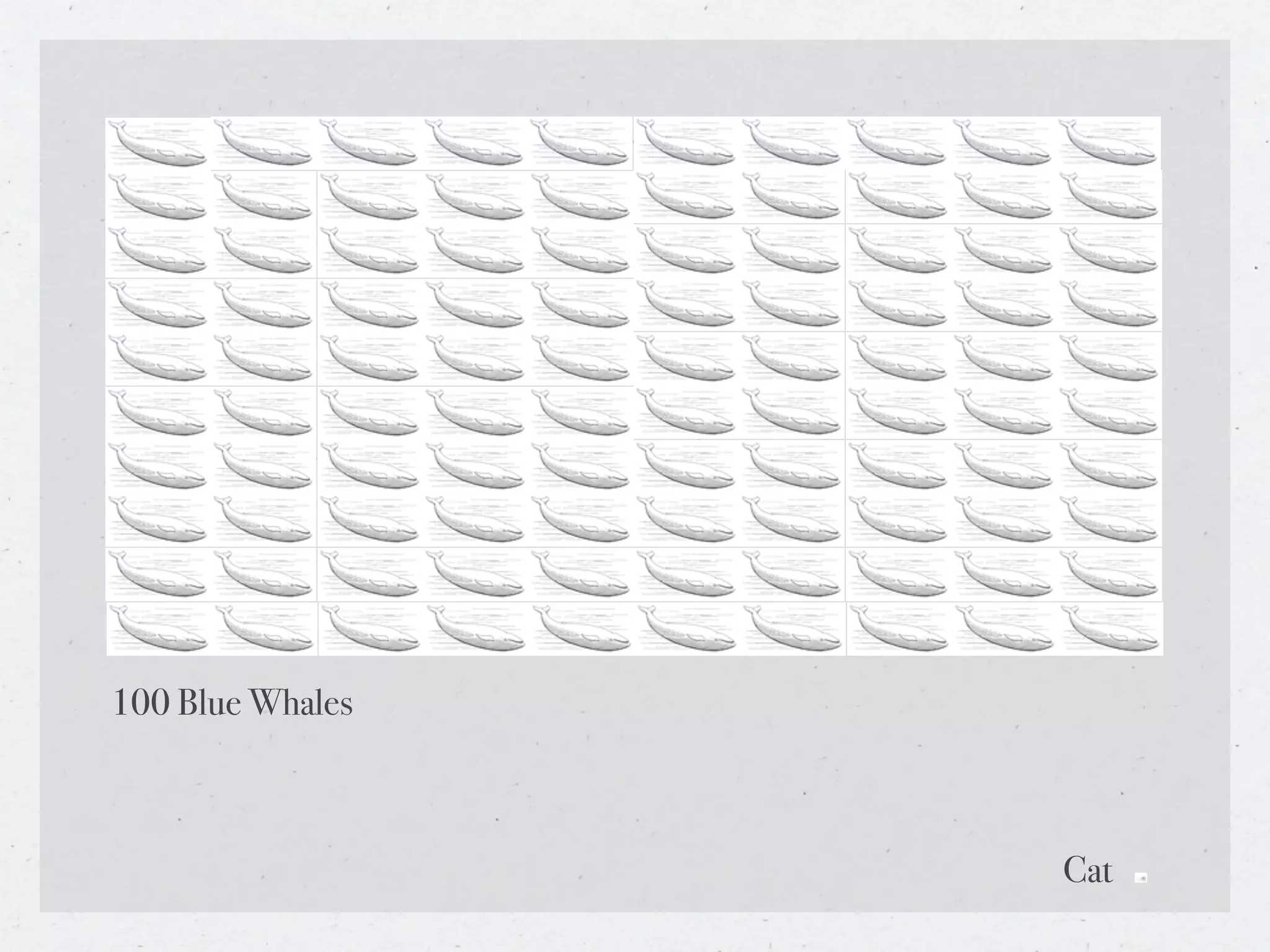 100 Blue Whales



                  Cat
 