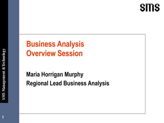 Business Analysis  Overview Session Maria Horrigan Murphy  Regional Lead Business Analysis 