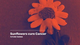 Sunﬂowers cure Cancer
FUTURE TAONGA
 