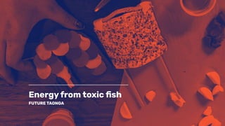 Energy from toxic ﬁsh
FUTURE TAONGA
 