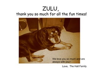 ZULU,  thank you so much for all the fun times! We love you so much and are always with you~ Love,  The Hall Family 