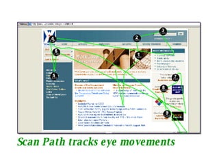 Scan Path tracks eye movements 
