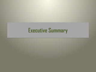 Executive Summary
 