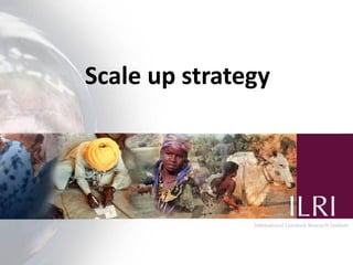 Identification and advocating for scaling partners: Integrating rights and livelihood programs while measuring empowerment using the Women’s Empowerment in Agriculture Index