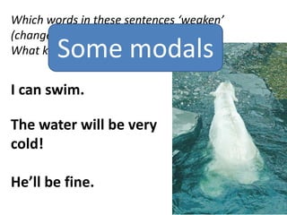 Which words in these sentences ‘weaken’
(change) to a schwa sound?
What kind of words are they?

Some modals

I can swim.
The water will be very
cold!
He’ll be fine.

 