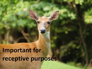 Important for
receptive purposes

 