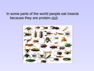 In some parts of the world people eat insects because they are protein- rich . 