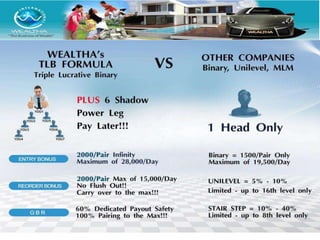 Wealtha pay plan