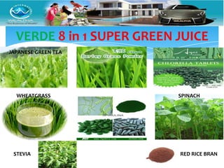 VERDE 8 in 1 SUPER GREEN JUICE
JAPANESE GREEN TEA




  WHEATGRASS               SPINACH




 STEVIA                    RED RICE BRAN
 